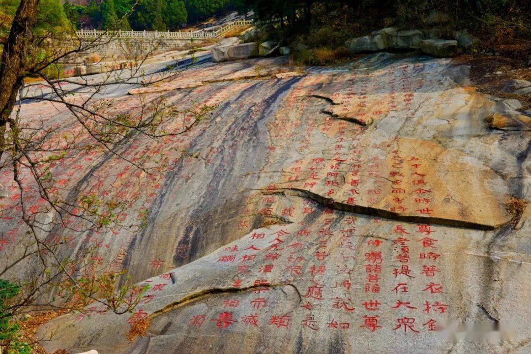 州科协到独山县指导检查工作